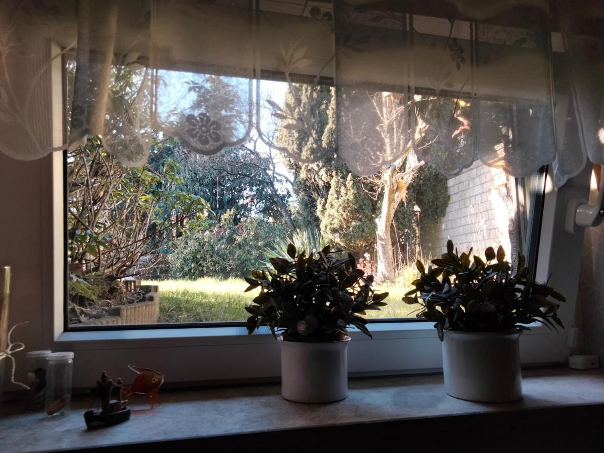 Ferienwohnung Coco Haltern am See Exteriör bild